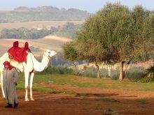 Algeria