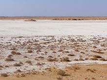 Algeria
