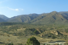 Algeria