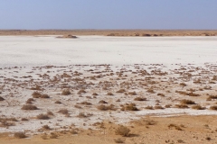 Algeria