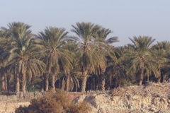 Algeria