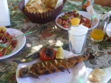 Anatolia orientale