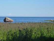 Baltico