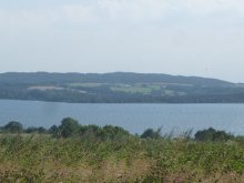 Baltico