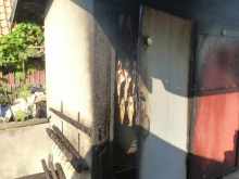 Baltico