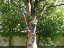 Baltico