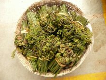 Bhutan