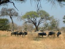 Botswana