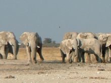 Botswana