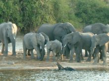 Botswana