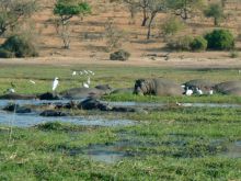 Botswana