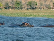 Botswana