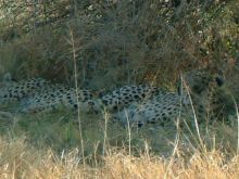 Botswana