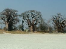 Botswana