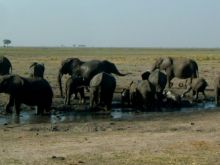 Botswana