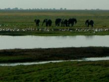 Botswana