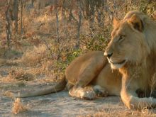 Botswana
