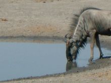Botswana