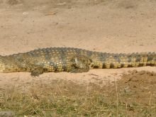 Botswana