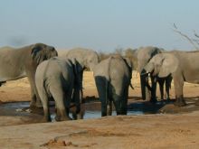Botswana