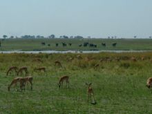 Botswana
