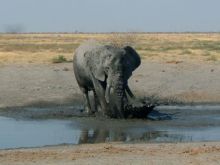 Botswana