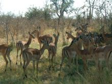 Botswana