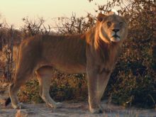 Botswana