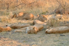 Botswana