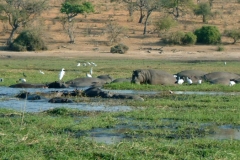 Botswana