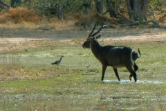 Botswana