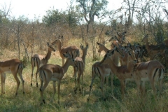 Botswana