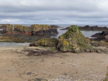 Irlanda del Nord