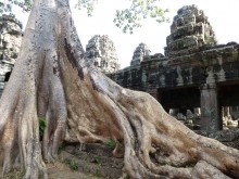 Cambogia