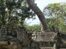 Cambogia
