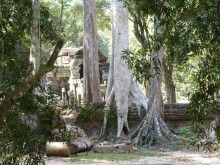 Cambogia