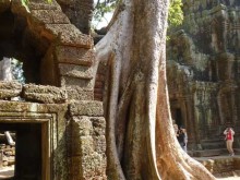 Cambogia