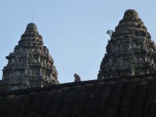 Cambogia