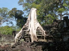 Cambogia