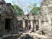 Cambogia