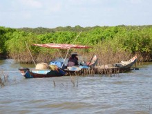 Cambogia