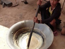 Cambogia