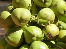 Cambogia