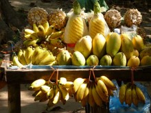 Cambogia
