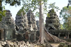 Cambogia
