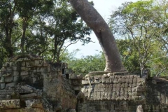 Cambogia