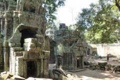 Cambogia