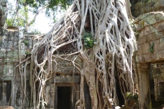 Cambogia