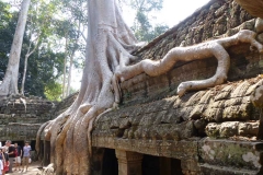 Cambogia