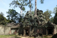 Cambogia